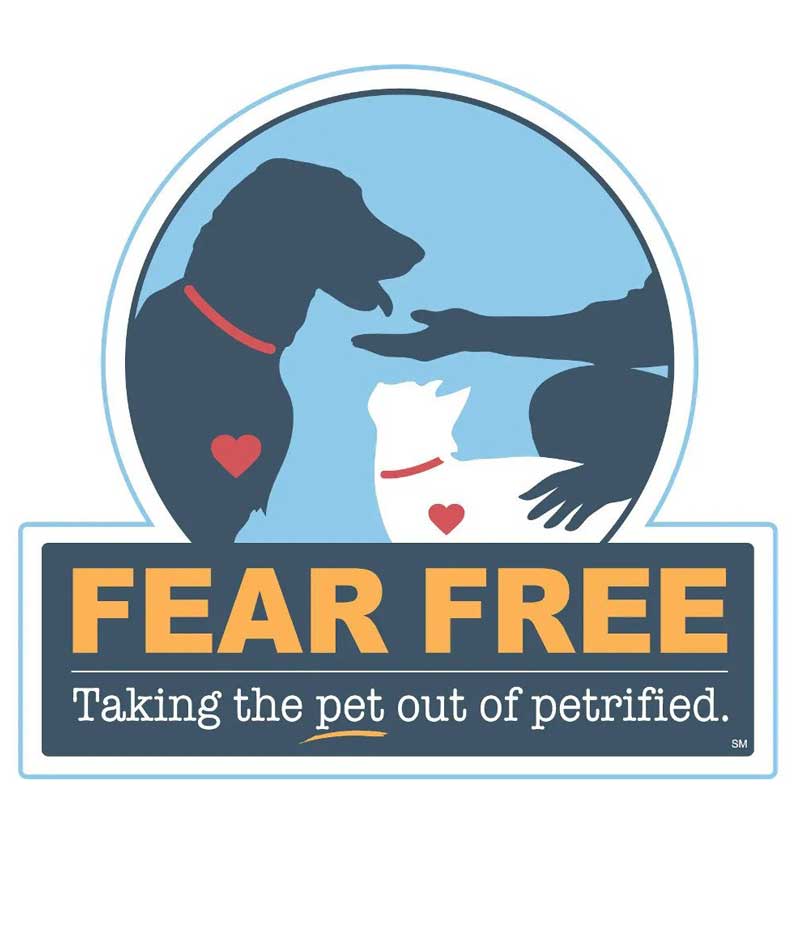 Fear Free Pet Visits in Pittsburgh