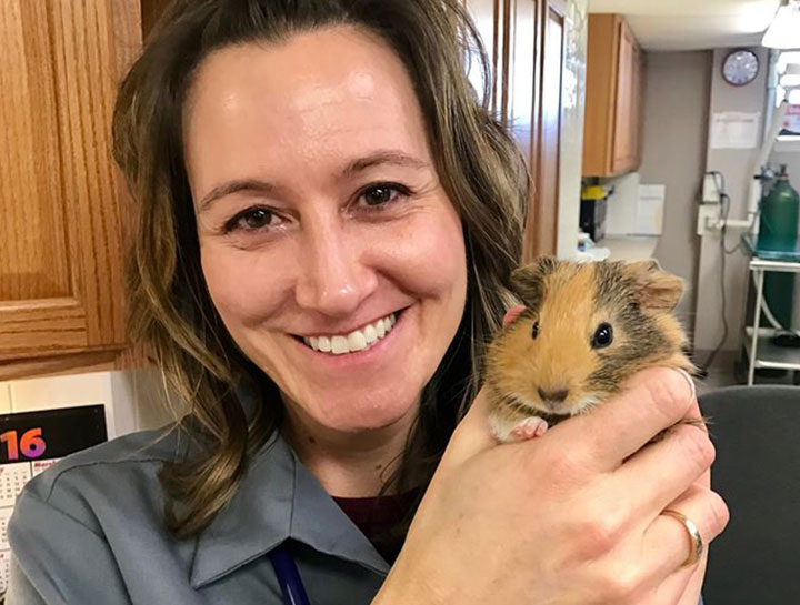 Pittsburgh Small Animal Veterinarian | Hamster Vet